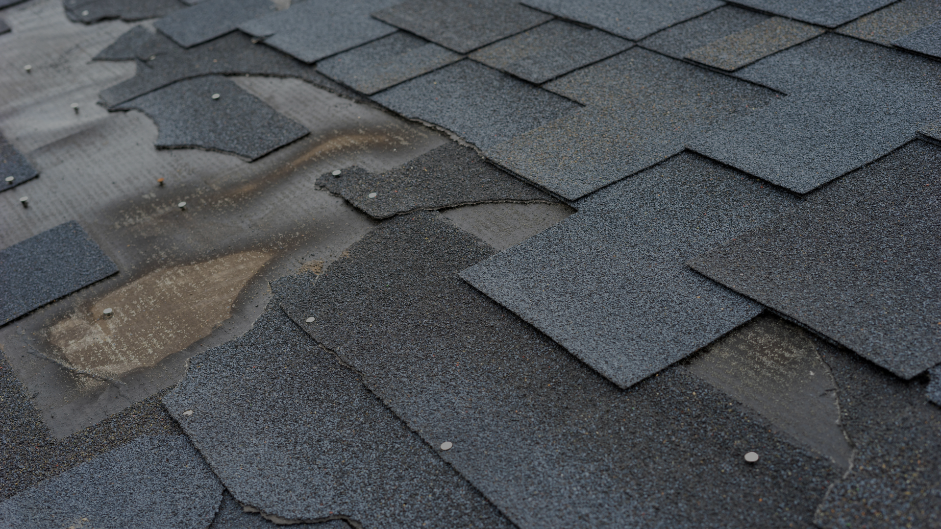 shingle roof repair scottsdale az